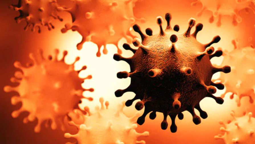 Virus