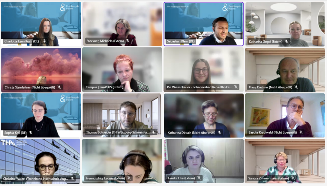 Ein Bild mit den Teilnehmenden des Online Seminars