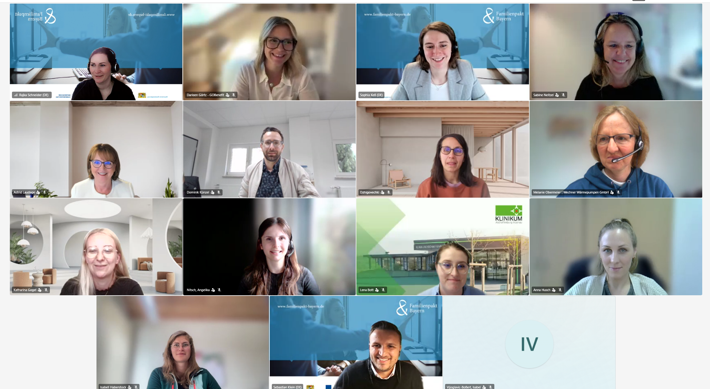 Screenshot vom Online Seminar